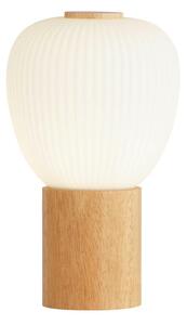 NAMIZNA LED-SVETILKA Ella 14.5/14.5/25 cm