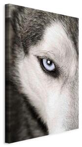 Artgeist Slika Na Platnu Dog's Look