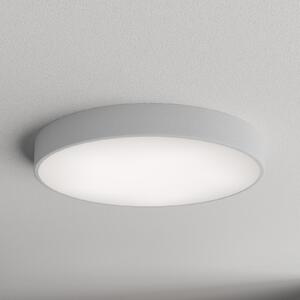 TEMAR LIGHTING Stropna svetilka Cleo 600, Ø 60 cm siva, zatemnjen, Siva, Dnevna soba / jedilnica, Kovina, Sodobni