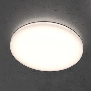 STEINEL RS PRO R10 basic SC LED stropna svetilka 3.000K, zatemnjen, Bela, Kuhinja, Plastika, Sodobni