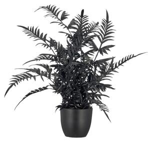 Mömax Umetna Rastlina Pteris Ii -Paz-