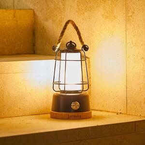 Lumisky LED namizna svetilka na baterije Wildy, črna/rjava, višina 23 cm, kovinska, zatemnjen, Črna, Kovina