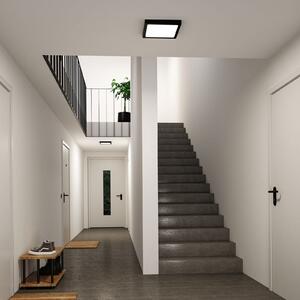 Paulmann LED-panel Abia 2, dolžina 30 cm, črn, CCT, plastika, Črna, Dnevna soba / jedilnica, Plastika, Sodobni