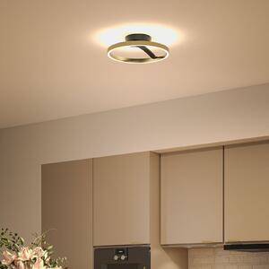 Paulmann LED stropna svetilka Melira, črna/zlata, premer 38 cm, kovina, zatemnjen, Črna, Dnevna soba / jedilnica, Kovina, Sodobni