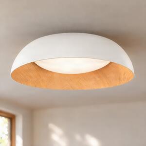 Lindby LED stropna svetilka Gracyn, bela, Ø 50 cm, stopnjevalno zatemnjevanje, zatemnjen, Bela, Dnevna soba / jedilnica, Plastika, Sodobni