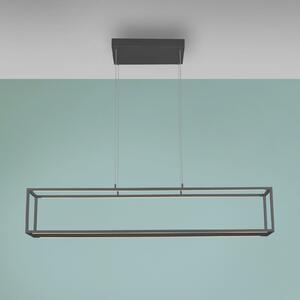 Paul Neuhaus LED-visoka svetilka Conni, črna, 130 cm, CCT, zatemnjen, Črna, Dnevna soba / jedilnica, Aluminij, Sodobni