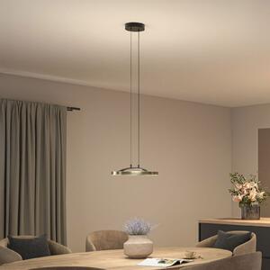 Paulmann LED-visoka svetilka Melira, črna/zlata, Ø 38 cm, kovina, zatemnjen, Črna, Dnevna soba / jedilnica, Kovina, Sodobni