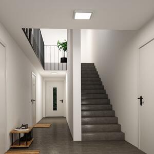 Paulmann LED-panel Abia 2, dolžina 30 cm, bel, CCT, plastika, Bela, Dnevna soba / jedilnica, Plastika, Sodobni