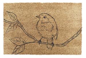 Predpražnik iz kokosovih vlaken 40x60 cm Pencil Robin – Artsy Doormats