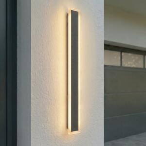 Lucande LED-stenna svetilka za zunanjo uporabo Ilora, črna, 100 cm, CCT, IP65, Črna, Nerjaveče jeklo, Sodobni