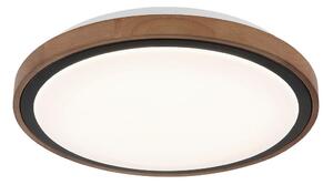 STROPNA LED-SVETILKA 3000-6000 K 230 V