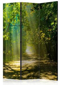 Artgeist Paravan Road In Sunlight, 3-Delni, Dvostranski