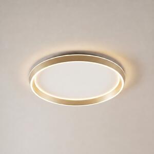 Lucande LED stropna svetilka Rylan, medenina, Ø 62 cm, z možnostjo regulacije, zatemnjen, Zlata / medeninasta, Dnevna soba / jedilnica, Kovina, Sodobni