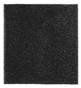 Klarstein Filter z aktivnim ogljem za razvlaževalec zraka DryFy 20 & 30, 20 x 23.1 cm, nadomestni filter