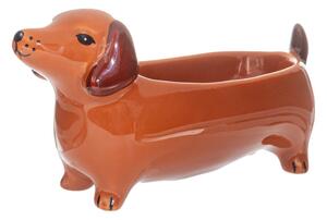 Porcelanasta okrasna skleda 5x14 cm Sausage Dog – Sass & Belle