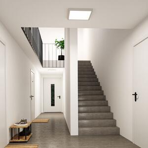 Paulmann LED-panel Abia 2, dolžina 40 cm, bel, CCT, plastika, Bela, Dnevna soba / jedilnica, Plastika, Sodobni