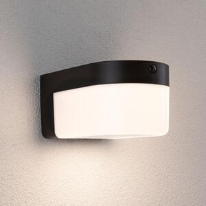 Paulmann LED-stenna svetilka Calyne, 230 V + Solar, črna, 23 cm, Črna, Plastika, Sodobni