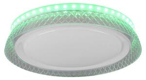 STROPNA LED-SVETILKA 28/5 cm