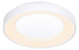 STROPNA LED-SVETILKA 50/8,5 cm