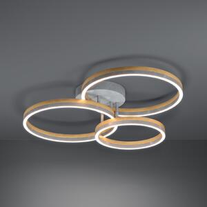 Stars of Light LED-stropna svetilka Cadinaro, siva/lesena, 73 cm, z možnostjo, zatemnjen, Siva, Dnevna soba / jedilnica, Steklo, Sodobni, Strop z več plameni