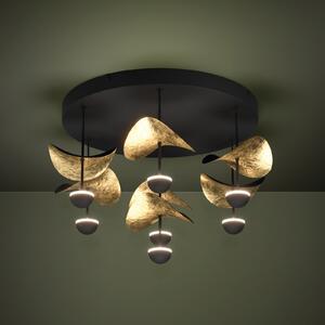 Stars of Light LED-stropna svetilka Dracera, črna/zlata, Ø 51 cm, zatemnjen, Črna, Dnevna soba / jedilnica, Kovina, Sodobni