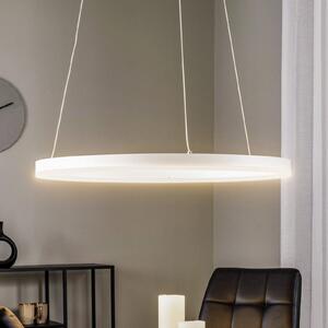 Arcchio LED-visoka svetilka Albiona, bela, 1 obroč, Ø 60 cm, zatemnjen, Bela, Kuhinja, Kovina, Sodobni