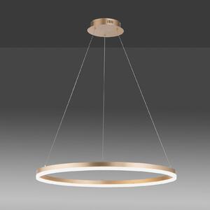 Paul Neuhaus LED viseča svetilka Titus, Ø 80 cm, medenina, zatemnljiva, zatemnjen, Zlata / medeninasta, Dnevna soba / jedilnica, Kovina, Sodobni