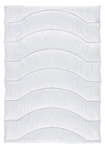 Nadana Celoletna Odeja Vegan Micro Premium, Ca. 140/200 Cm