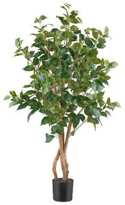 Mömax Umetna Rastlina Ficus Benjamina Ii