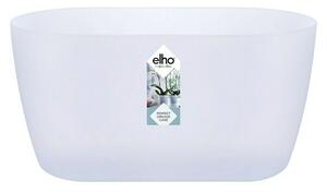 Elho Lonec za orhideje Duo (Zunanje dimenzije (Do x Š x V): 25 x 13 x 12,6 cm, Plastika, Prozorna, Mat)