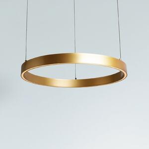 Searchlight LED-visoka svetilka Layla, zlata, Ø 64 cm CCT, z nastavljivo višino, zatemnjen, Zlata / medeninasta, Dnevna soba / jedilnica, Kovina, Sodobni