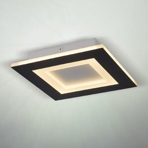 Searchlight LED-stropna svetilka Squary, dolžina 39 cm, črno-belo železo, CCT, zatemnjen, Črna, Dnevna soba / jedilnica, Kovina, Sodobni