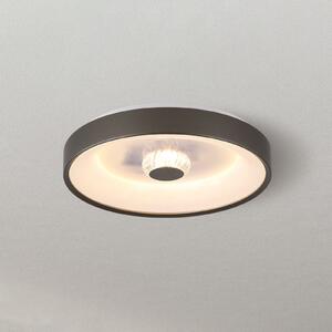 Searchlight LED-stropna svetilka Polka, barva latte/bela, premer 38 cm, železo/akril, zatemnjen, Rjava / rjasta, Dnevna soba / jedilnica, Kovina, Sodobni
