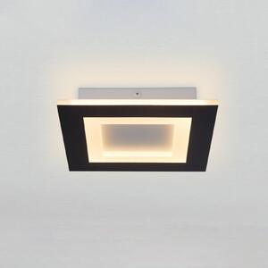 Searchlight LED-stropna svetilka Squary, dolžina 25 cm, črno-belo železo, CCT, zatemnjen, Črna, Dnevna soba / jedilnica, Kovina, Sodobni