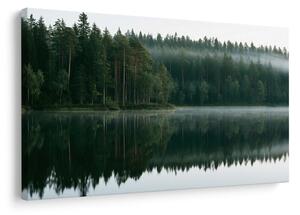 Slika megleno jezero v gozdu