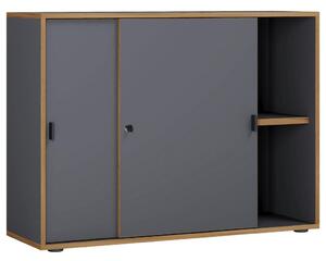 P & B Arhivska Omara Salia B100, Antracit, Barva Hrasta