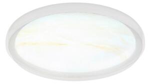 STROPNA LED-SVETILKA TYRONE 2700/4000/6000 K 230 V