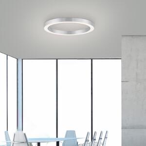 PURE LED stropna svetilka Lines, Ø 50 cm, srebrna, CCT, zatemnjen, Siva, Dnevna soba / jedilnica, Kovina, Sodobni