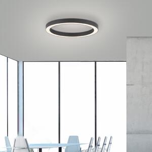 PURE LED stropna svetilka Lines, Ø 50 cm, antracit, CCT, daljinski upravljalnik, zatemnjen, Črna, Dnevna soba / jedilnica, Kovina, Sodobni