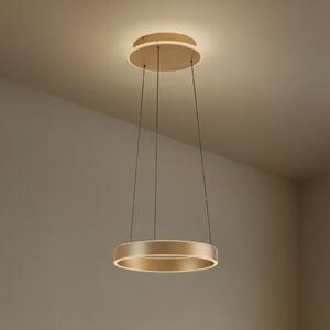 Lucande LED viseča svetilka Tindra, Ø 40 cm, zlata, z možnostjo zatemnitve, zatemnjen, Zlata / medeninasta, Dnevna soba / jedilnica, Kovina, Sodobni