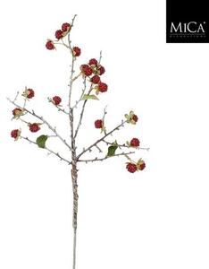 Mömax Okrasna Vejica Rubus