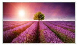 IR grelni panel Lavender (Do x Š x V: 1.000 x 18 x 600 mm, 600 W)