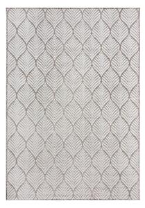 Slonokoščena notranja in zunanja preproga 80x150 cm Elm Leaf – Flair Rugs
