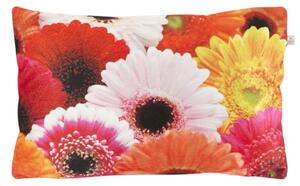 Okrasna prevleka za blazino SAMARA GERBERA 30x50 cm, barvna