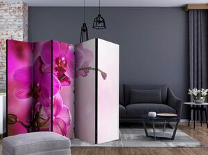Artgeist Paravan Pink Orchid, 5-Delni, Dvostranski