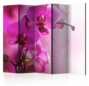 Artgeist Paravan Pink Orchid, 5-Delni, Dvostranski