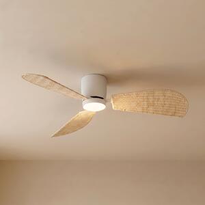 Lucande LED stropni ventilator Faipari, bel/ratan, DC, 132 cm, Les, Dnevna soba / jedilnica, Les, Sodobni