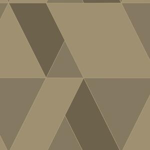 Tapeta Perception Tangram 7 barv