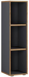 P & B Pisarniški Regal Salia B30, Antracit, Barva Hrasta