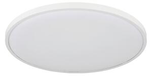 STROPNA LED-SVETILKA NIELSEN 4000 K 230 V